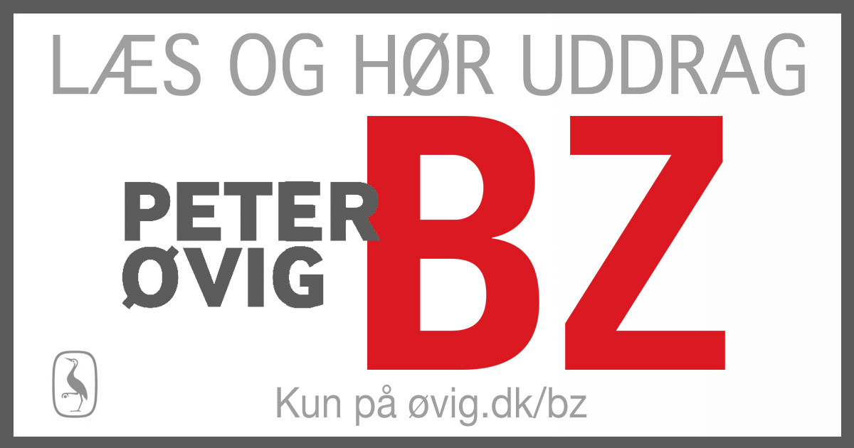 bz-uddrag-banner